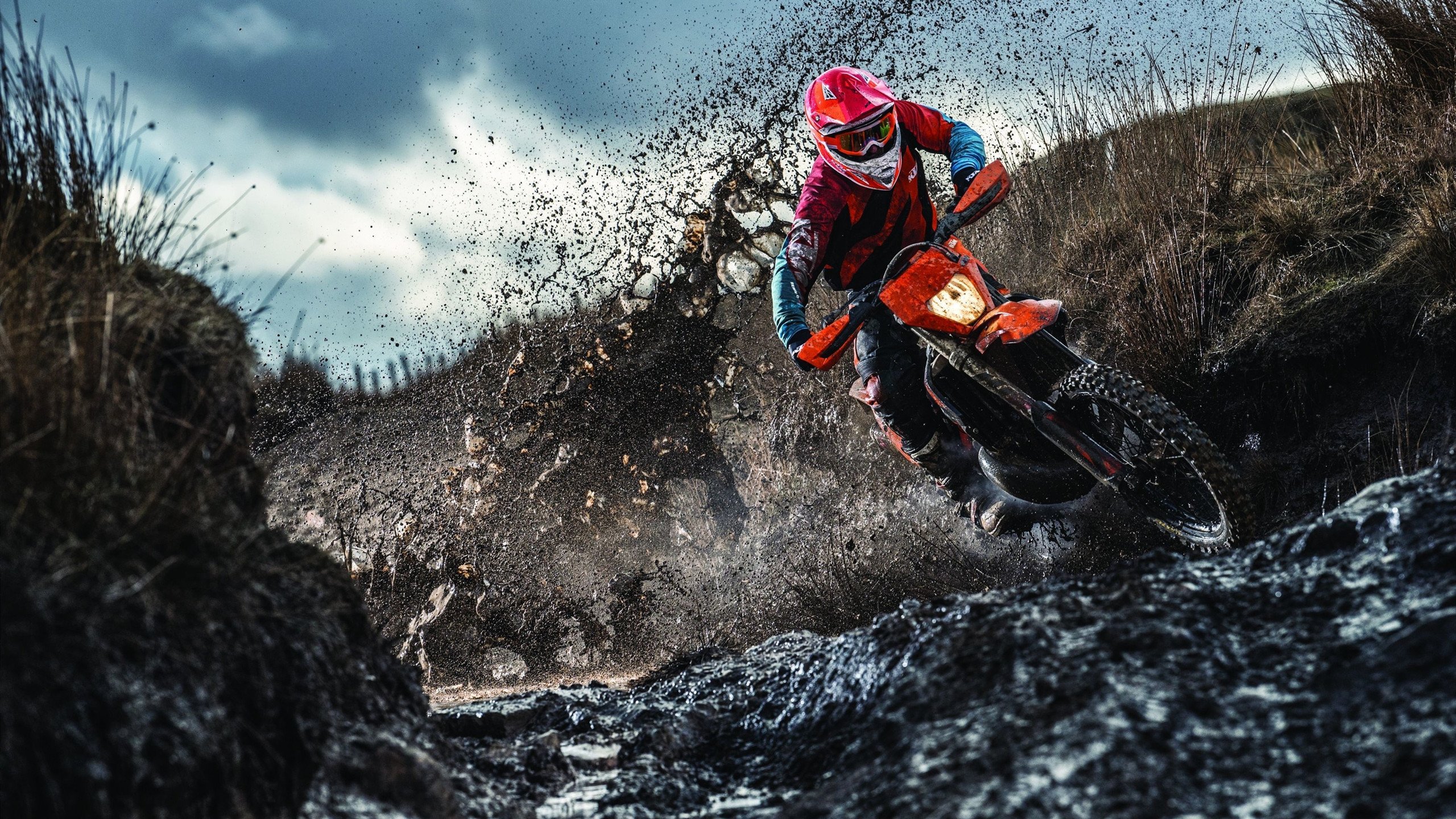 拜仁锋线新星火力全开，未来之星逐渐崭露头角，拜仁超新星